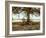 Aux Arbeils Oak-Colby Chester-Framed Photographic Print