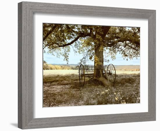 Aux Arbeils Oak-Colby Chester-Framed Photographic Print