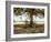 Aux Arbeils Oak-Colby Chester-Framed Photographic Print