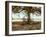 Aux Arbeils Oak-Colby Chester-Framed Photographic Print