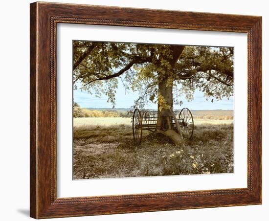 Aux Arbeils Oak-Colby Chester-Framed Photographic Print