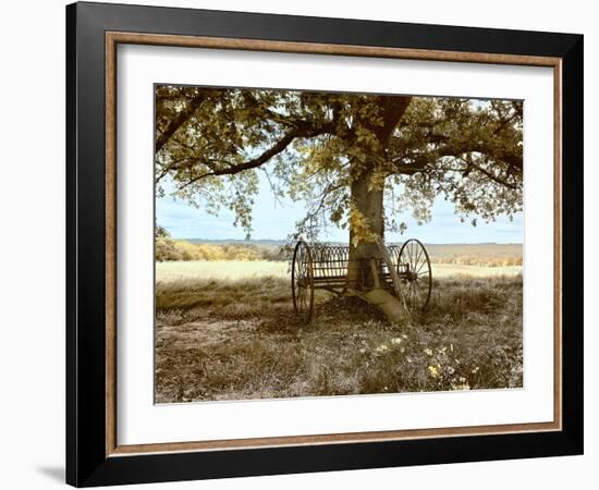 Aux Arbeils Oak-Colby Chester-Framed Photographic Print