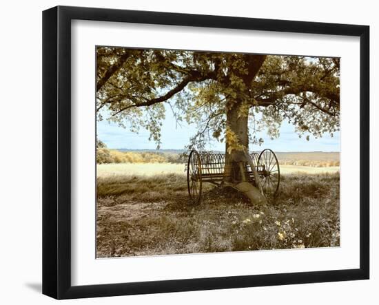 Aux Arbeils Oak-Colby Chester-Framed Photographic Print