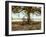 Aux Arbeils Oak-Colby Chester-Framed Photographic Print