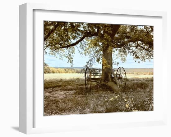 Aux Arbeils Oak-Colby Chester-Framed Photographic Print