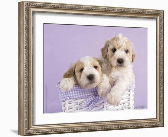 Ava and Ella-Rachael Hale-Framed Art Print