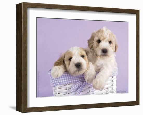 Ava and Ella-Rachael Hale-Framed Art Print