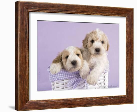 Ava and Ella-Rachael Hale-Framed Art Print