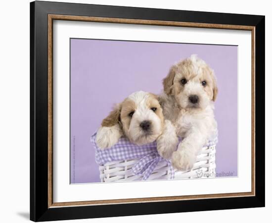 Ava and Ella-Rachael Hale-Framed Art Print