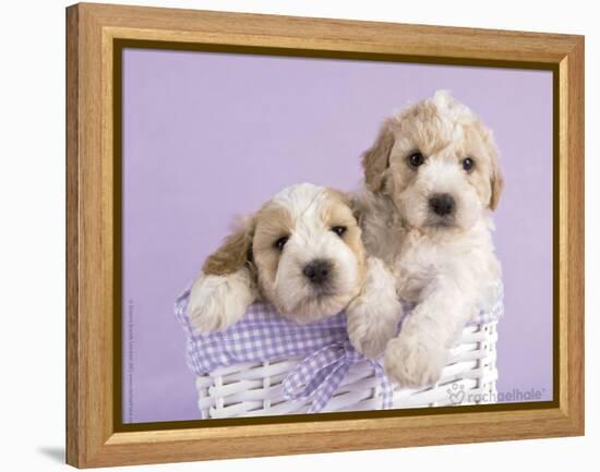 Ava and Ella-Rachael Hale-Framed Stretched Canvas