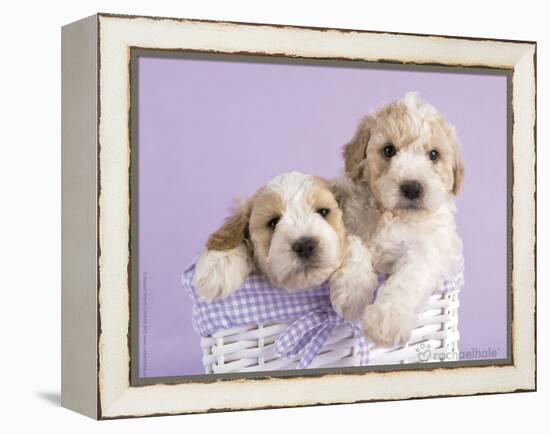 Ava and Ella-Rachael Hale-Framed Stretched Canvas