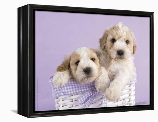 Ava and Ella-Rachael Hale-Framed Stretched Canvas