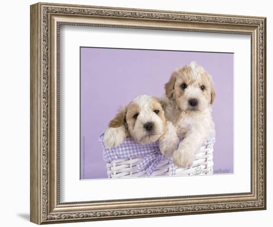 Ava and Ella-Rachael Hale-Framed Premium Giclee Print