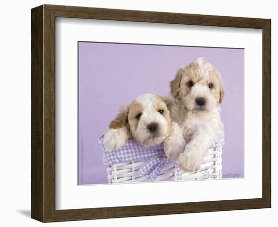 Ava and Ella-Rachael Hale-Framed Premium Giclee Print