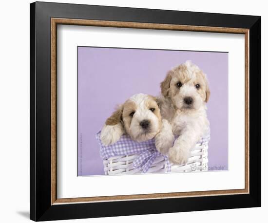 Ava and Ella-Rachael Hale-Framed Premium Giclee Print