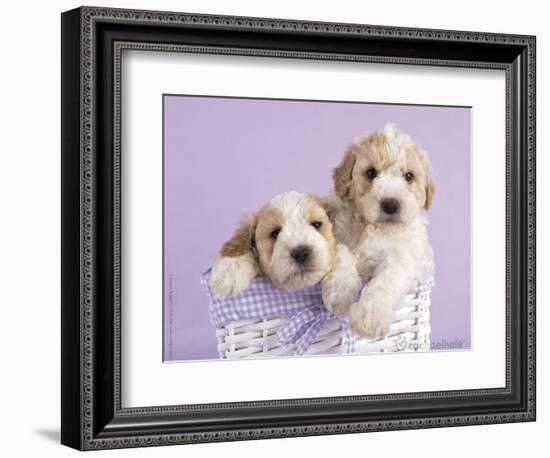 Ava and Ella-Rachael Hale-Framed Premium Giclee Print