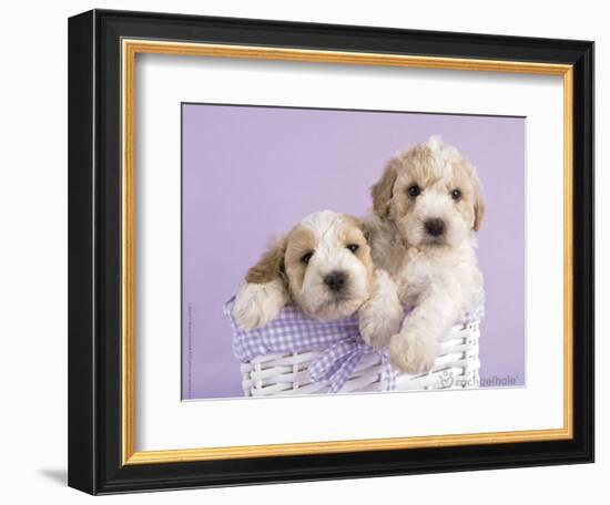 Ava and Ella-Rachael Hale-Framed Premium Giclee Print