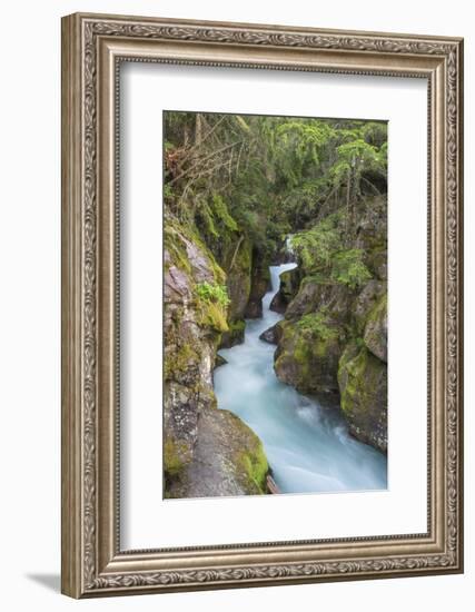 Avalanche Creek, Glacier National Park, Montana.-Howie Garber-Framed Photographic Print