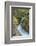 Avalanche Creek, Glacier National Park, Montana.-Howie Garber-Framed Photographic Print