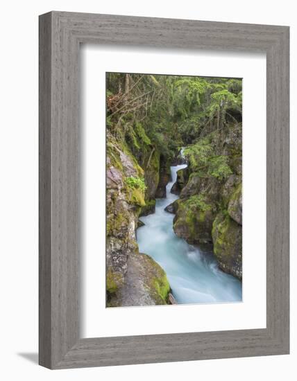 Avalanche Creek, Glacier National Park, Montana.-Howie Garber-Framed Photographic Print