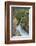 Avalanche Creek, Glacier National Park, Montana.-Howie Garber-Framed Photographic Print