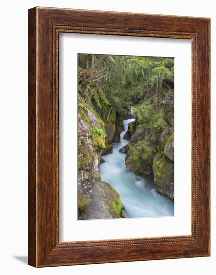 Avalanche Creek, Glacier National Park, Montana.-Howie Garber-Framed Photographic Print