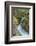 Avalanche Creek, Glacier National Park, Montana.-Howie Garber-Framed Photographic Print