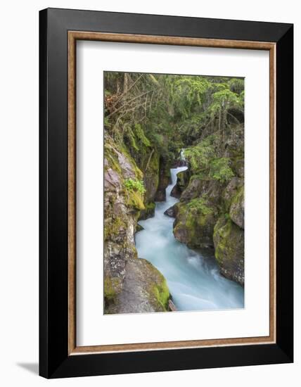 Avalanche Creek, Glacier National Park, Montana.-Howie Garber-Framed Photographic Print