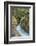 Avalanche Creek, Glacier National Park, Montana.-Howie Garber-Framed Photographic Print