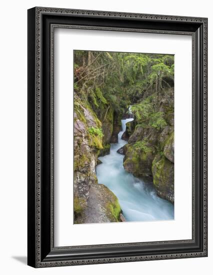 Avalanche Creek, Glacier National Park, Montana.-Howie Garber-Framed Photographic Print