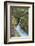 Avalanche Creek, Glacier National Park, Montana.-Howie Garber-Framed Photographic Print