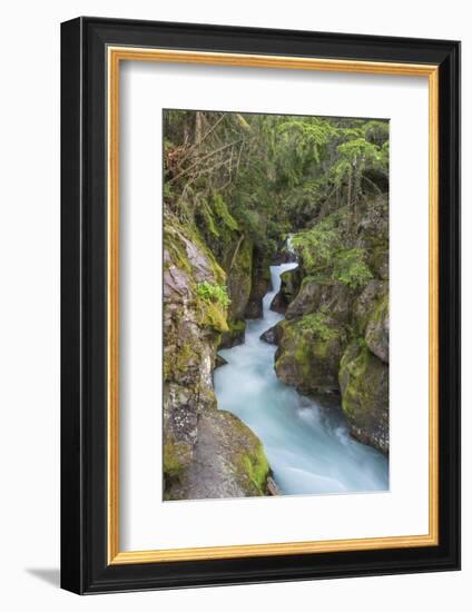 Avalanche Creek, Glacier National Park, Montana.-Howie Garber-Framed Photographic Print