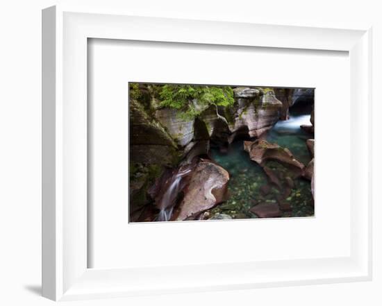 Avalanche Creek-Jason Savage-Framed Art Print