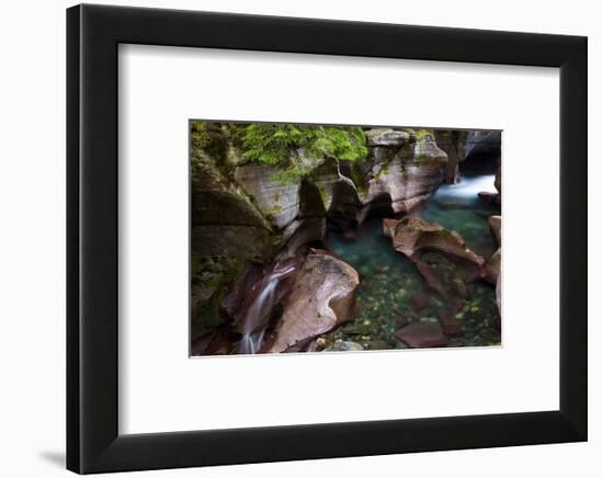 Avalanche Creek-Jason Savage-Framed Art Print