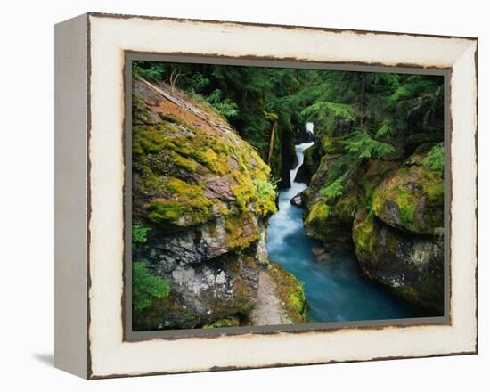 Avalanche Creek-James Randklev-Framed Premier Image Canvas