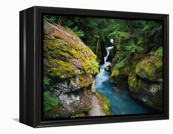 Avalanche Creek-James Randklev-Framed Premier Image Canvas