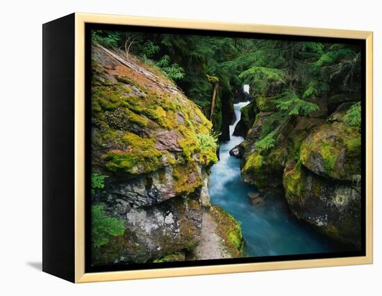 Avalanche Creek-James Randklev-Framed Premier Image Canvas