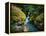 Avalanche Creek-James Randklev-Framed Premier Image Canvas