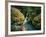 Avalanche Creek-James Randklev-Framed Photographic Print