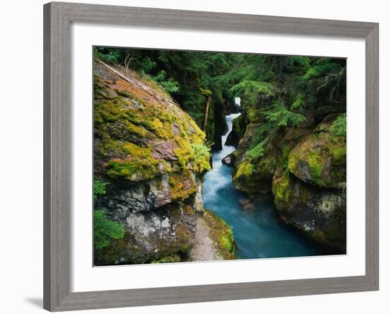 Avalanche Creek-James Randklev-Framed Photographic Print