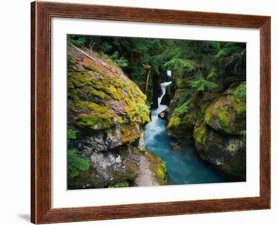 Avalanche Creek-James Randklev-Framed Photographic Print