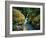 Avalanche Creek-James Randklev-Framed Photographic Print