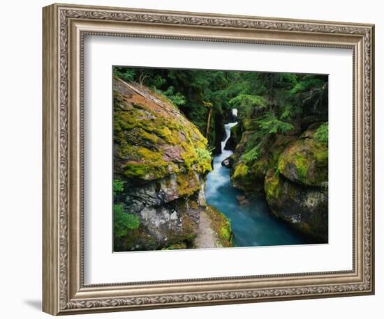 Avalanche Creek-James Randklev-Framed Photographic Print