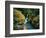 Avalanche Creek-James Randklev-Framed Photographic Print