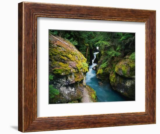 Avalanche Creek-James Randklev-Framed Photographic Print