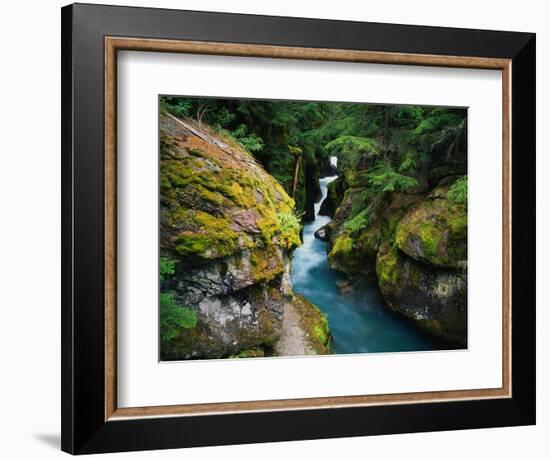 Avalanche Creek-James Randklev-Framed Photographic Print