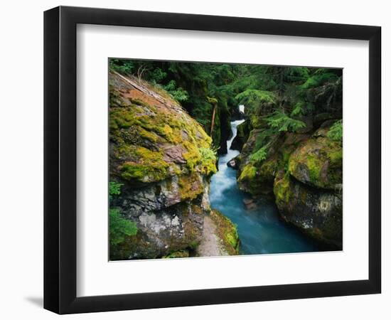 Avalanche Creek-James Randklev-Framed Photographic Print