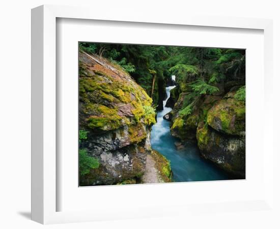 Avalanche Creek-James Randklev-Framed Photographic Print