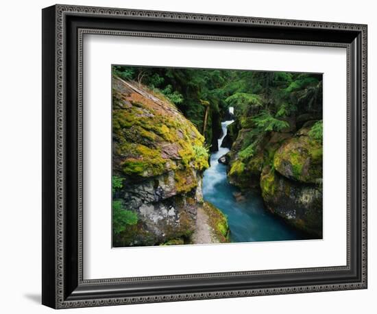 Avalanche Creek-James Randklev-Framed Photographic Print