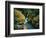 Avalanche Creek-James Randklev-Framed Photographic Print